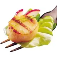 Sea Scallops